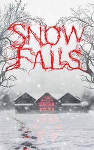 Snow Falls (film)