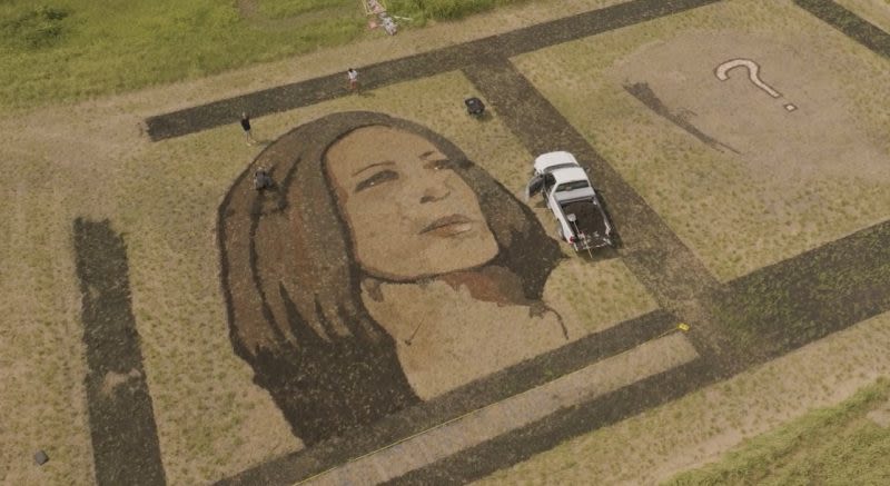 Artist creates massive Kamala Harris portrait in Kansas field