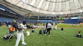 Rays Ballpark Baseball