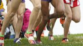 See which runners are champions at the Missouri high school cross country state meets