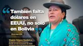 Duras críticas contra senadora por declaración respecto al dólar - El Diario - Bolivia