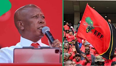 EFF demands end to virtual parliament and South Africans trolled the party