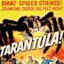 ¡Tarántula!