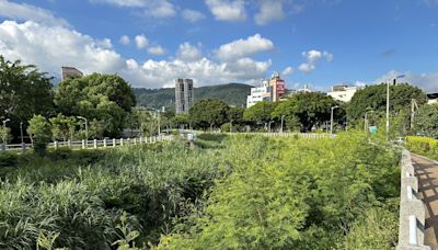 蔣萬安市府挪河濱公園修繕經費辦「水舞」 王欣儀：別拿市民生命開玩笑 | 蕃新聞