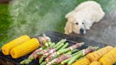 Can Dogs Eat Asparagus?