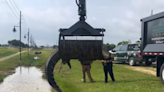 Unusual alligator removals leave Texans asking why they are needed