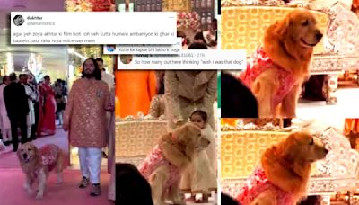 Ambani Wedding: Family Doggo ‘Happy’ Stuns In Swanky Sherwani; Internet Says ‘Iski Life Aadhe Indians Se Achhi’