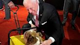 S.C. Gov. McMaster spends time with Republican National Convention 'show stealing' dog