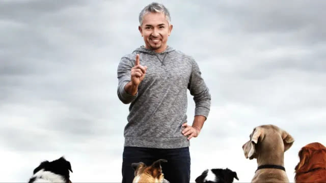 Dog Whisperer Season 1 Streaming: Watch & Stream Online via Amazon Prime Video