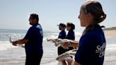 'It’s days like today that we remember forever': SeaWorld releases 10 rescued sea turtles in NSB
