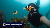 ‘I was always a water baby’ – German in Hong Kong made diving his living