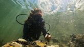 Coral reefs suffer fourth global bleaching event, NOAA says