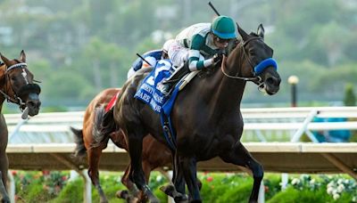 Horse racing around the U.S. readies for Memorial Day weekend