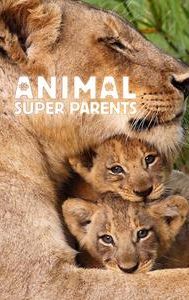 Animal Super Parents