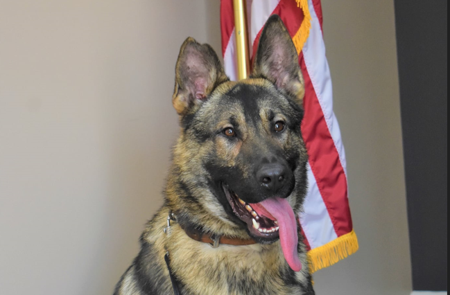 Mo. officer charged with animal abuse after death of K-9 left in hot cruiser