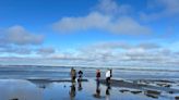 Field notes: Final razor clam digs of spring season approved