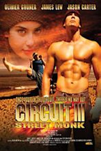 The Circuit III: Final Flight (Video 2006) - IMDb
