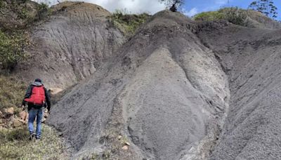 Hallazgo de restos de tortugas en Colombia aporta datos de Sudamérica - Noticias Prensa Latina