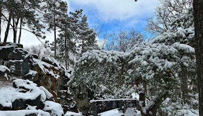 Snowstorm across Midwest and Northern Plains bring blizzard conditions, power outages and travel chaos