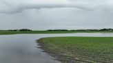 Rural Minnesota farmers struggling with onslaught of rain