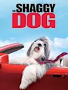 The Shaggy Dog (2006 film)