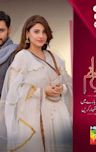 Dil-e-Jaanam (2017 TV series)