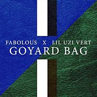 Goyard Bag