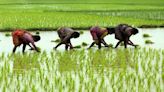 Economic Survey calls for urgent agri reforms; cites growth hurdles - CNBC TV18