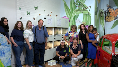 Yuma Rotary Club dedicates Bug Terrarium to the Children's Museum - KYMA