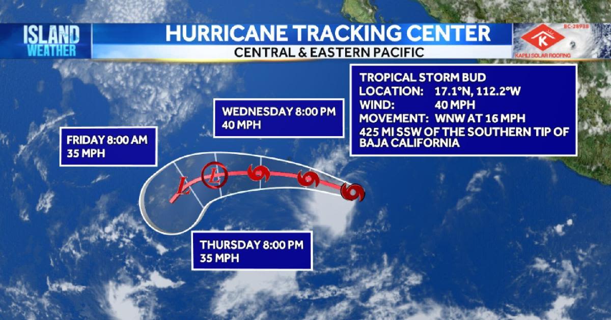 TRACKING BUD | Second tropical storm of the eastern North Pacific hurricane season forms