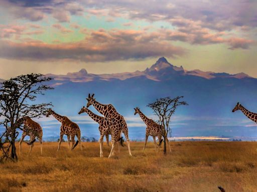 Planning To Visit Africa? Here Are The Best 10 Countries