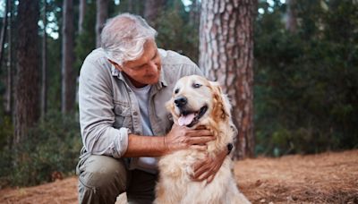 24 Quotes About Golden Retrievers That Perfectly Capture This Lovable Breed