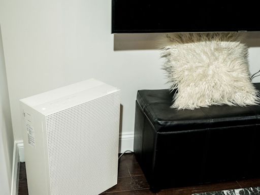 Clear the Air With the Best Purifiers for Dust, Dander, and Pollen