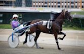 Harness racing