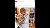 Therapy dog with ‘signature smile’ helps care for sick shelter director, photos show