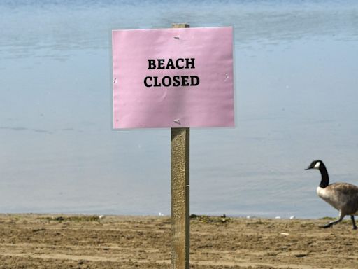 27 Michigan beaches contaminated by high bacteria levels. Here's where they are