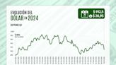 Dólar cierra con caída de más de $ 20, la mayor en ocho meses, por optimismo sobre tasas de EEUU | Diario Financiero