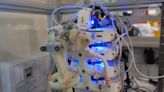 Scientists grew living cells on a robot skeleton in this eerie experiment