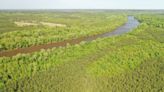 Cooper vetoes Farm Act, which could remove protections from half of NC’s wetlands