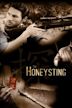 The Honeysting