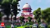 Supreme Court stays Karnataka HC order blocking Power TV broadcast | Delhi News - Times of India