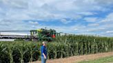 New Bayer short corn variety stands up to high winds, but not over 100 mph