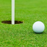 High school roundup: Martin fires school record 67 to win sectional, advance to WIAA state golf