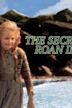 The Secret of Roan Inish