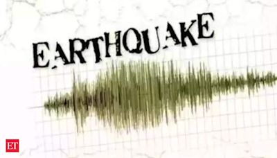 Earthquake of magnitude 4.5 hits Maharashtra's Hingoli; no casualty reported - The Economic Times