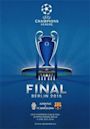 2015 UEFA Champions League Final