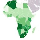 White Africans of European ancestry