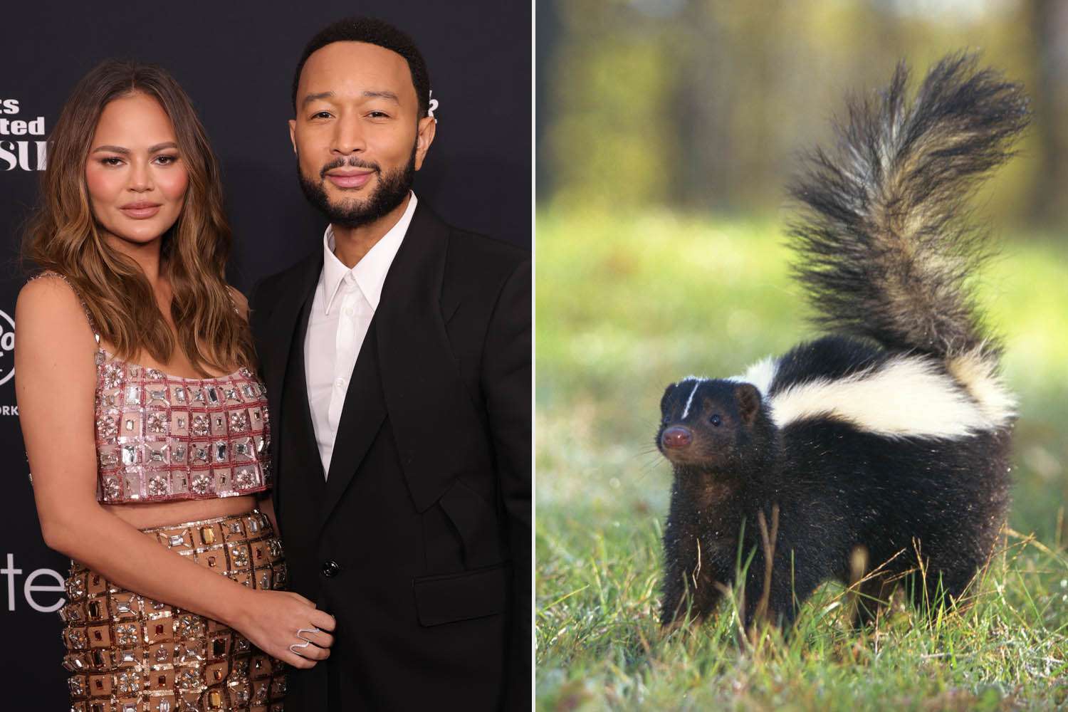 Chrissy Teigen and John Legend Reveal a Skunk Filled Their Home with a ‘Stench’: ‘Oh, It’s Bad!’