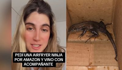 Lagarto por pedido: joven colombiana pidió una freidora por Amazon y llegó escoltado por un animal exótico