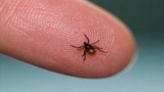 New tool from Pennsylvania Department of Health shows where ticks are prevalent
